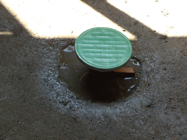 b0159611_025105.gif