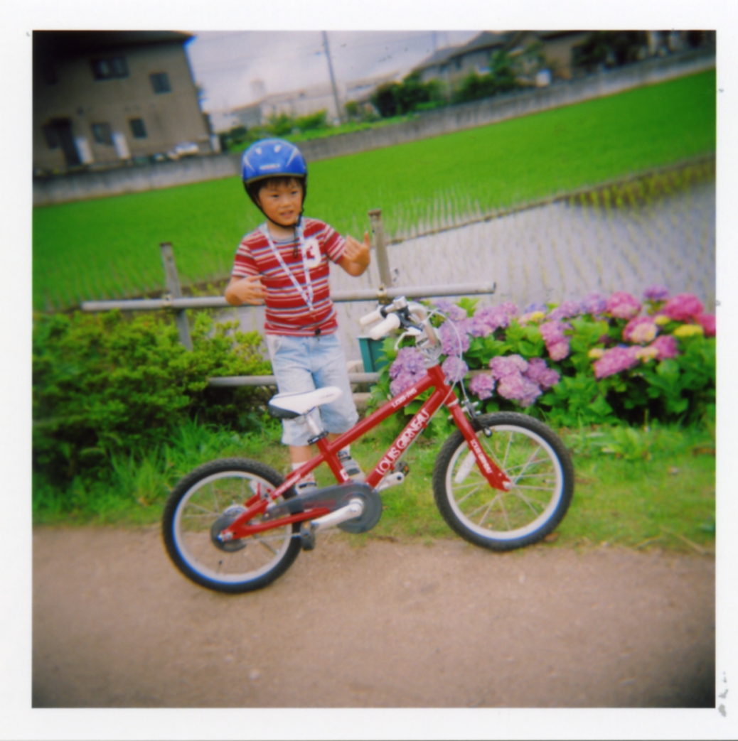 HOLGA! #紫陽花小路～其の弐_a0000912_0564673.jpg