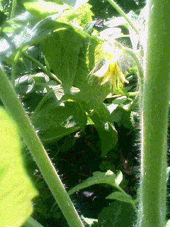 b0094717_10412442.jpg