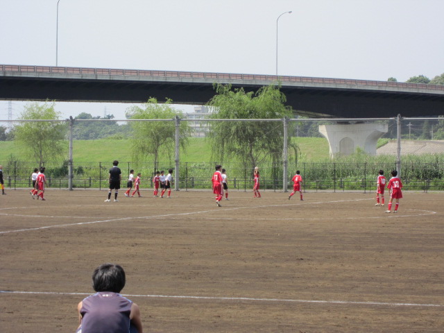 a0117719_17254940.jpg