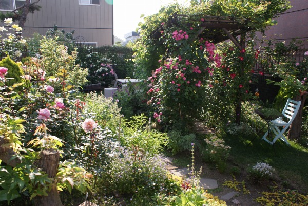 f0170524_17225638.jpg