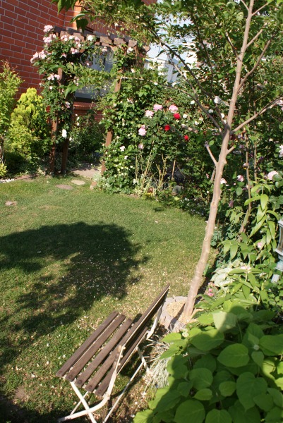 f0170524_1775276.jpg