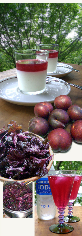 d0043225_21361858.jpg