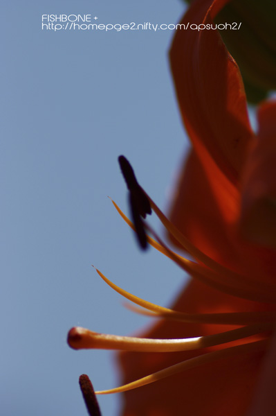 b0147329_20342243.jpg