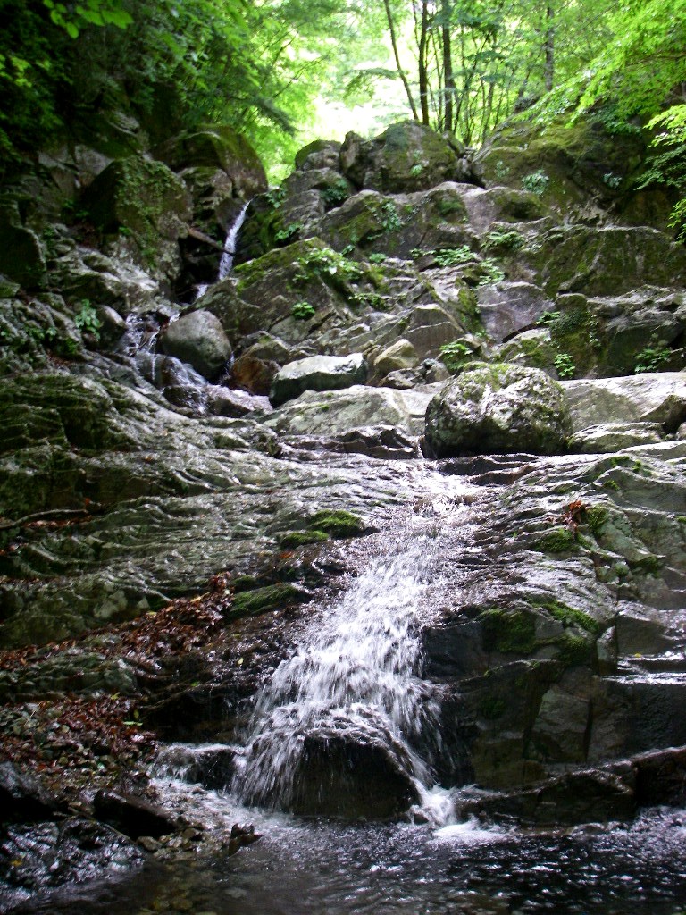 f0039234_01957.jpg