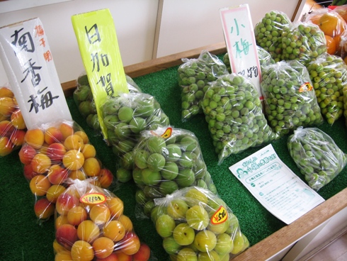 大町の青果店さん梅三昧!_b0140235_17574348.jpg