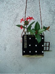 週末へ向けて。_d0111039_11494722.jpg