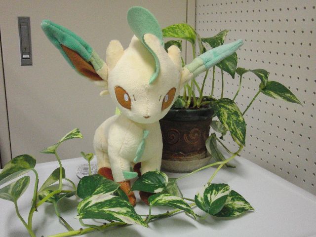 上リーフィア 弱点 すべてのぬりえ