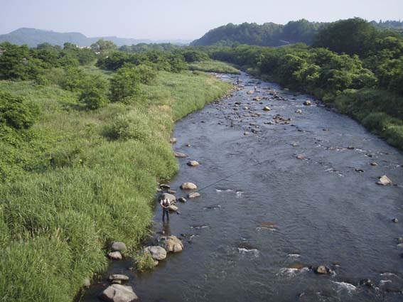 山梨県塩川のアユ釣りでツ抜け　(No.447　09/06/27)_d0151247_2381946.jpg