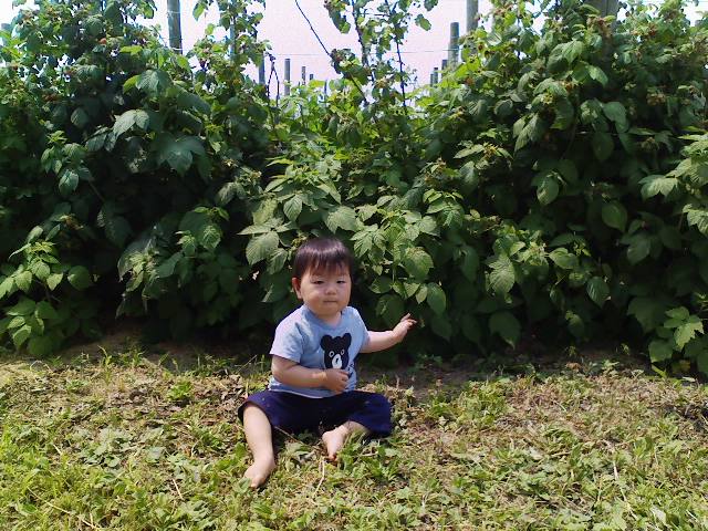 f0111747_20581594.jpg