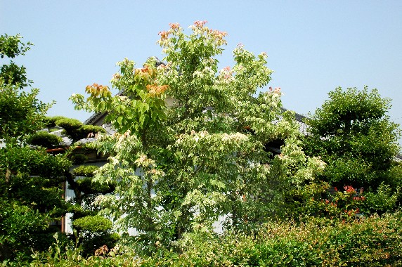 　　郊外にて_b0093754_0161873.jpg