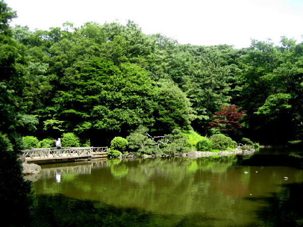e0099756_16244364.jpg