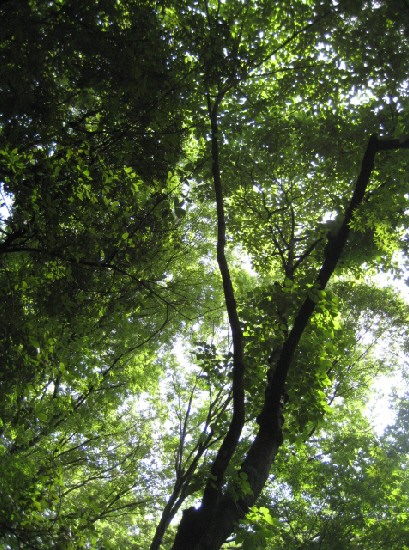 e0099756_16304085.jpg
