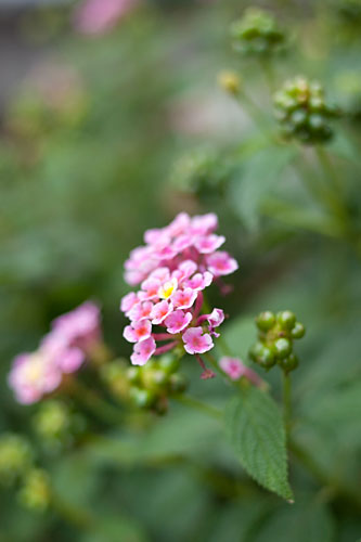 73: のんびり_b0171364_17314119.jpg