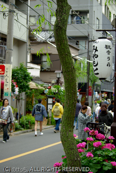 b0136768_1405729.jpg