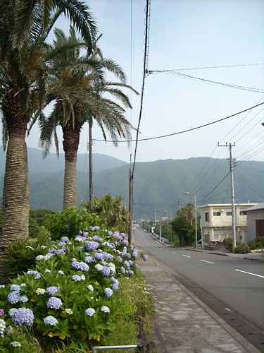 e0097770_75653.jpg