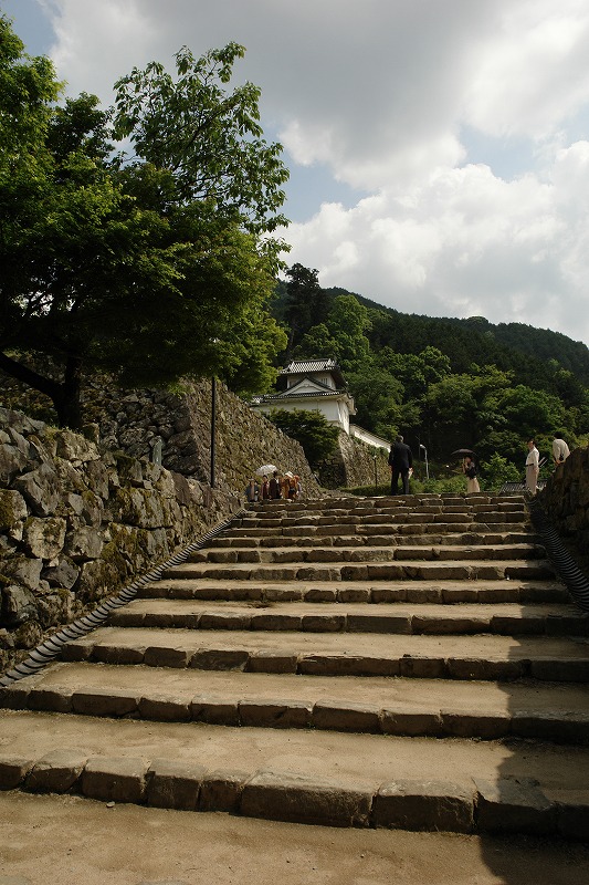 e0174074_8247.jpg