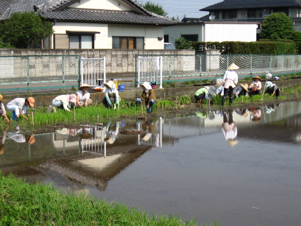 ライブ「あかり」と田植え_c0095185_2217791.jpg