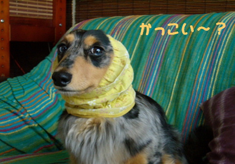 f0195891_17553670.jpg