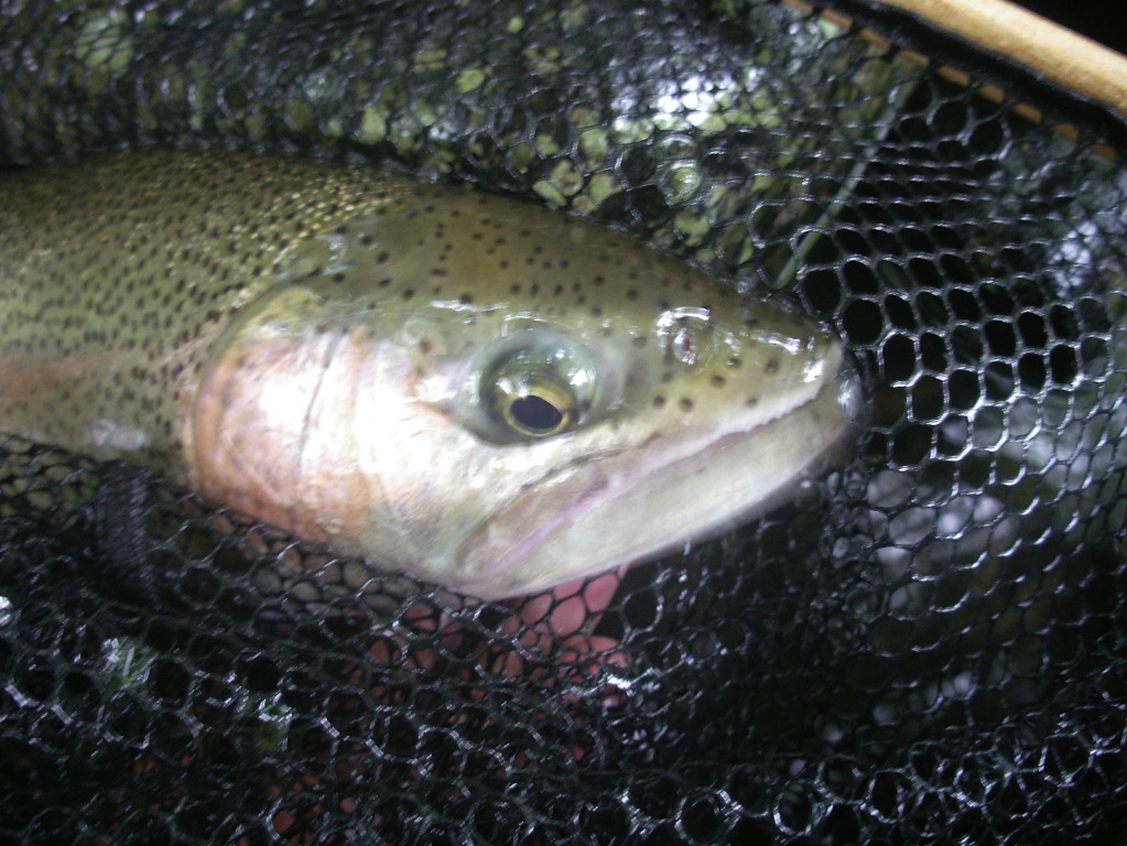 f0092492_05440.jpg