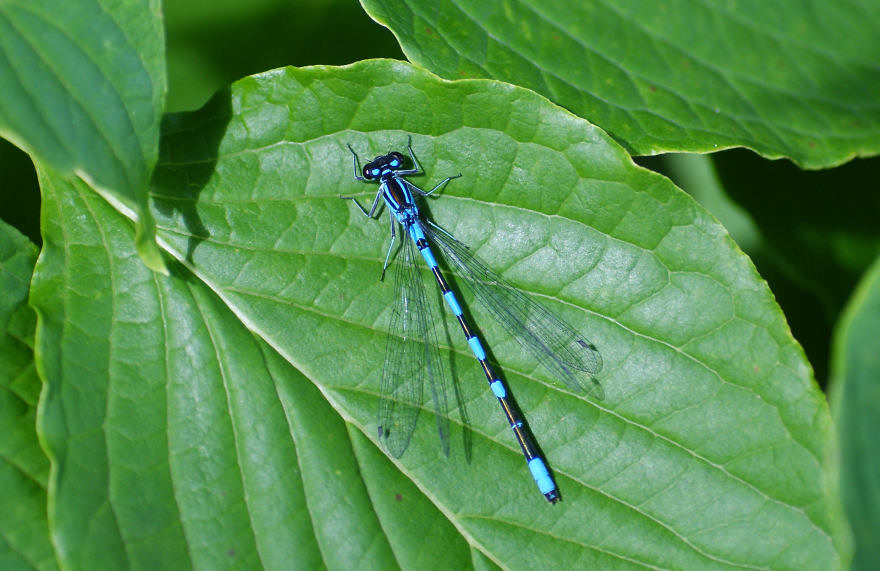 b0078795_82845.jpg