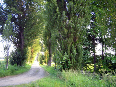 b0108100_121254100.jpg