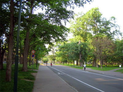 b0108100_12132210.jpg