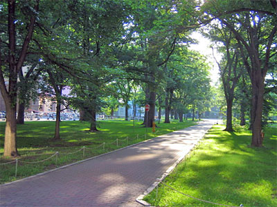 b0108100_12134377.jpg