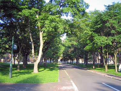 b0108100_12135053.jpg