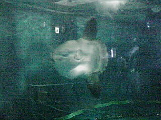 e0063902_20222072.jpg
