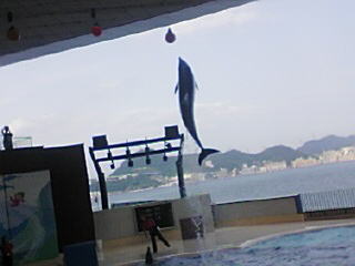 e0063902_2044783.jpg