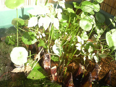 f0082402_20102910.jpg