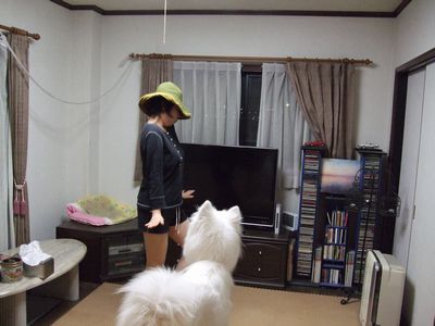 d0149103_13224778.jpg