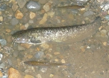 b0137704_12271569.jpg