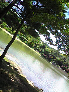 b0183911_22455110.jpg