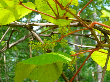 b0185013_15272390.jpg