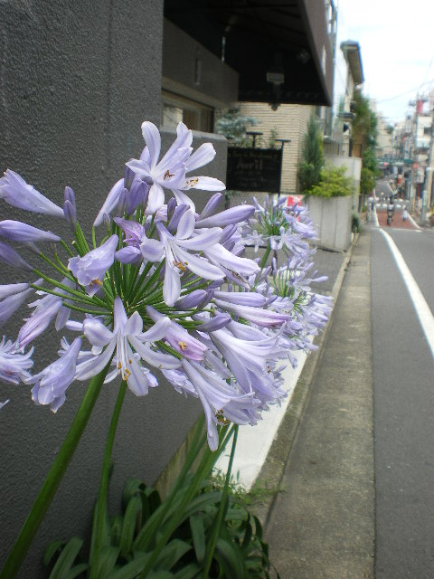c0188613_19571759.jpg