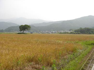 f0000521_6452012.jpg
