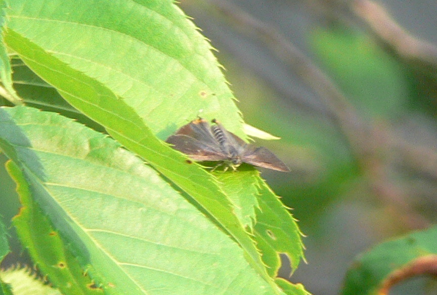 f0063624_2245598.jpg