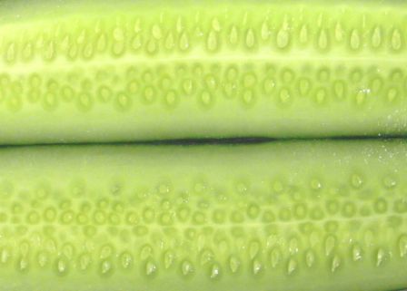 c0195134_18111845.jpg