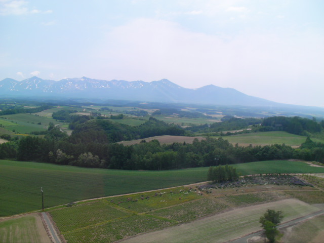 d0111435_17341635.jpg