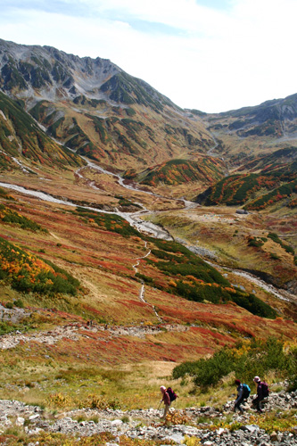 d0055236_17113772.jpg
