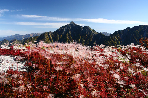 d0055236_17115859.jpg