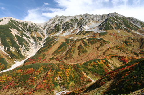d0055236_1713859.jpg