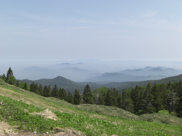 f0020336_19113511.jpg