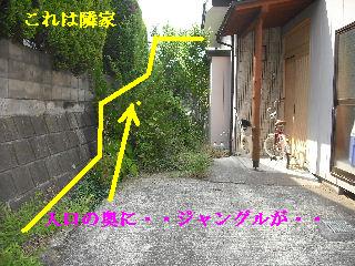 日曜日~~~♪_f0031037_20234596.jpg
