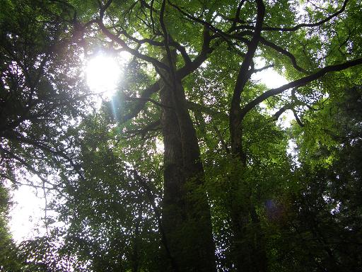 c0085539_18175568.jpg
