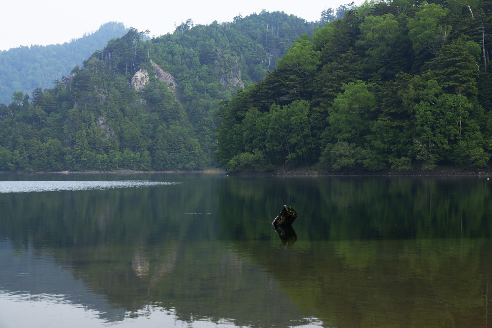 綺麗な水の風景を求めて 群馬県片品村 菅沼 Photo Diary
