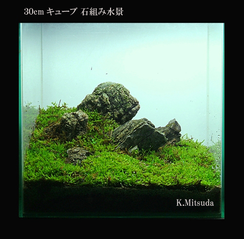 石組み ３０cmキューブ編 水景画の世界 Mitsuda Worldへようこそ