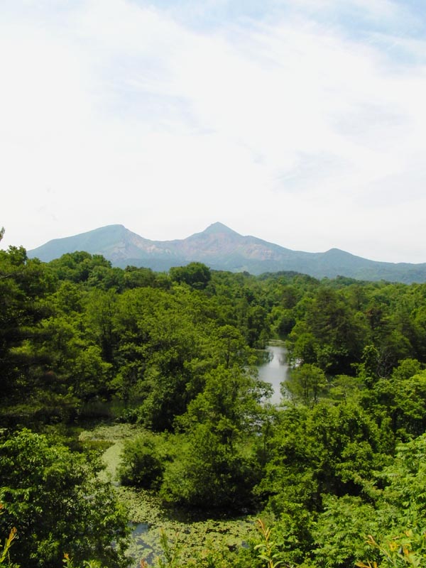 c0045352_1628818.jpg
